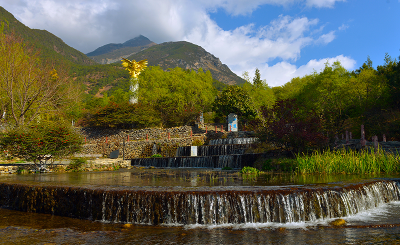 1660198109907222.jpg DSC_9967.JPG