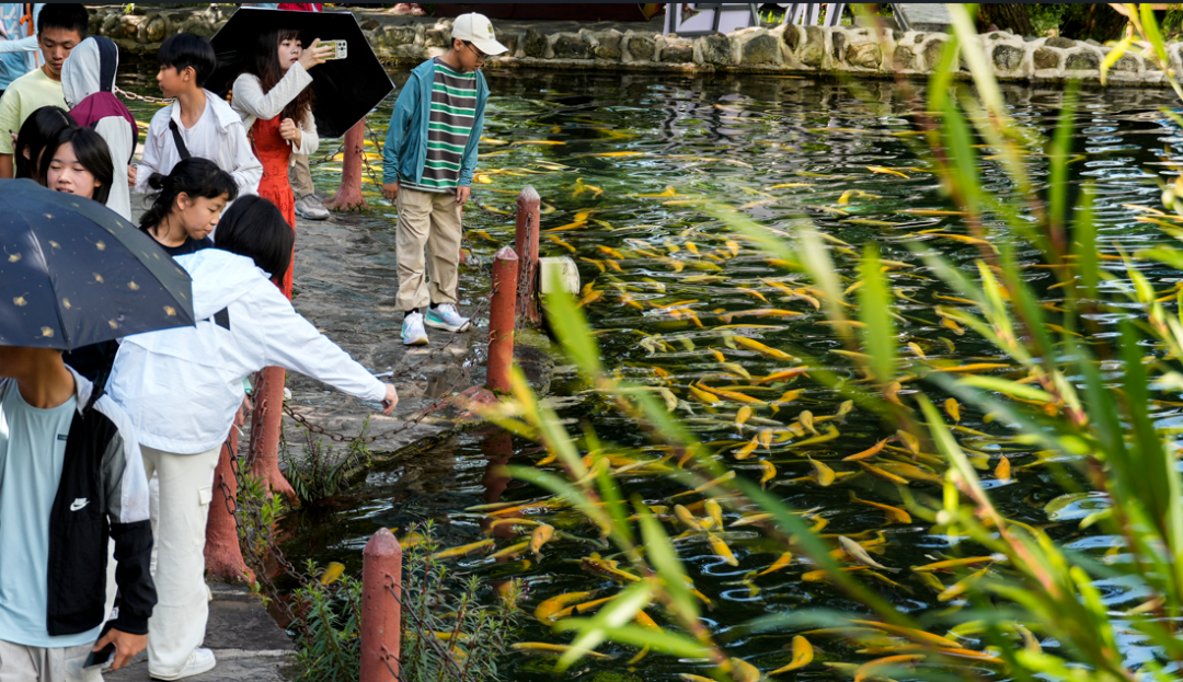 首屆“美魯杯”秋季攝影攝像大賽征稿啟事